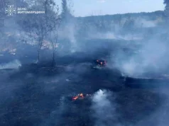 Пенсіонер отримав опіки під час гасіння поля на Коростенщині пожежа в немирівці