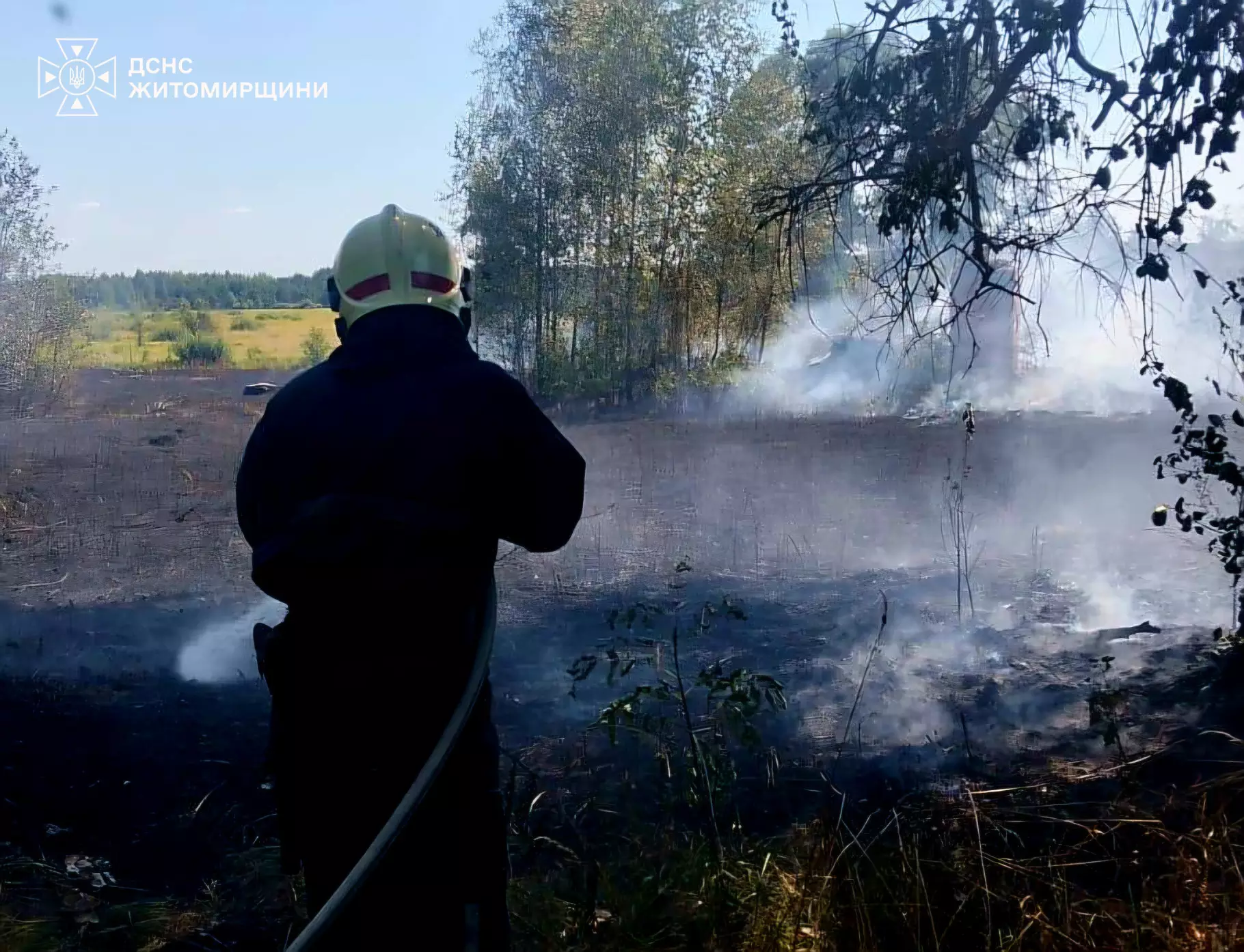 Пожежа сухої трави на Житомирщині