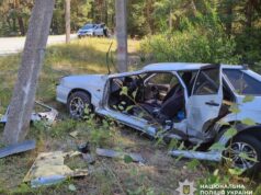Аварія на Малинщині відправила двох літніх людей до лікарні аварія біля Малина