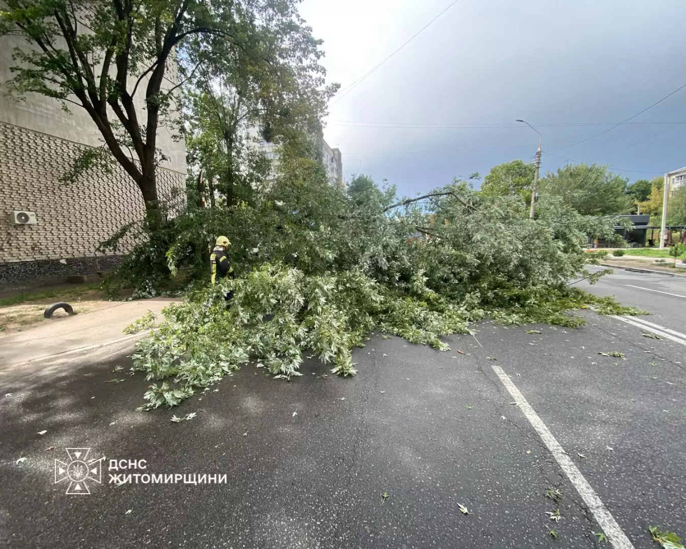 Відновлення руху транспорту у Житомирі