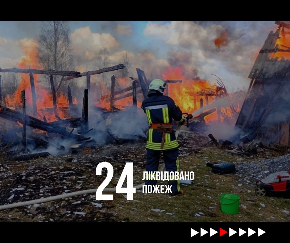 Пошуки заблукалих людей у лісі на Коростенщині