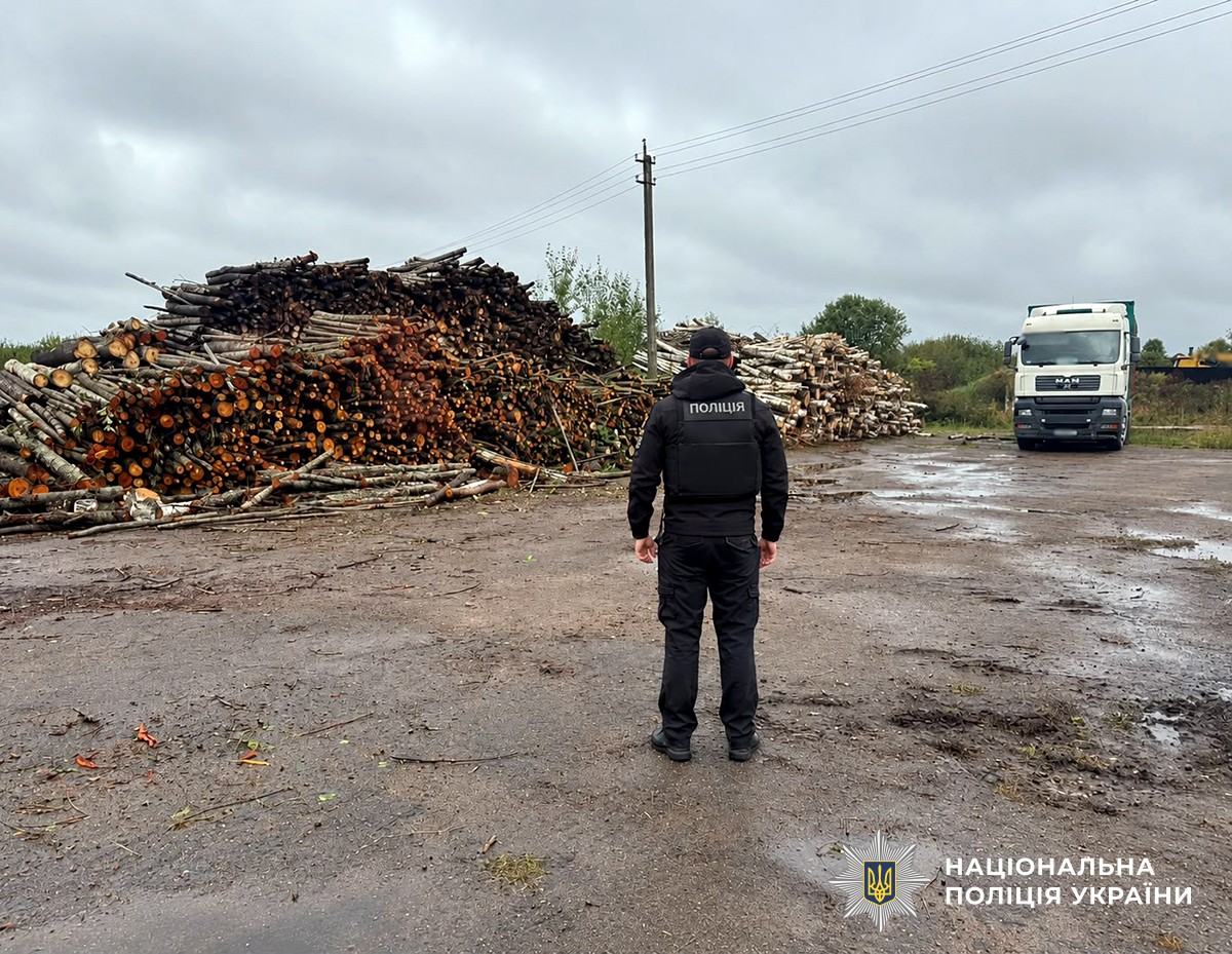 Транспортування незаконно зрубаної деревини