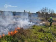 Пожежа у лісовій посадці ледь не перекинулася на господарчі будівлі пожежі в житомирській області