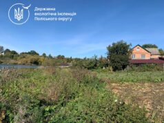Поява конструкцій на березі Тетерева змусила екологів діяти доступ до води чуднів