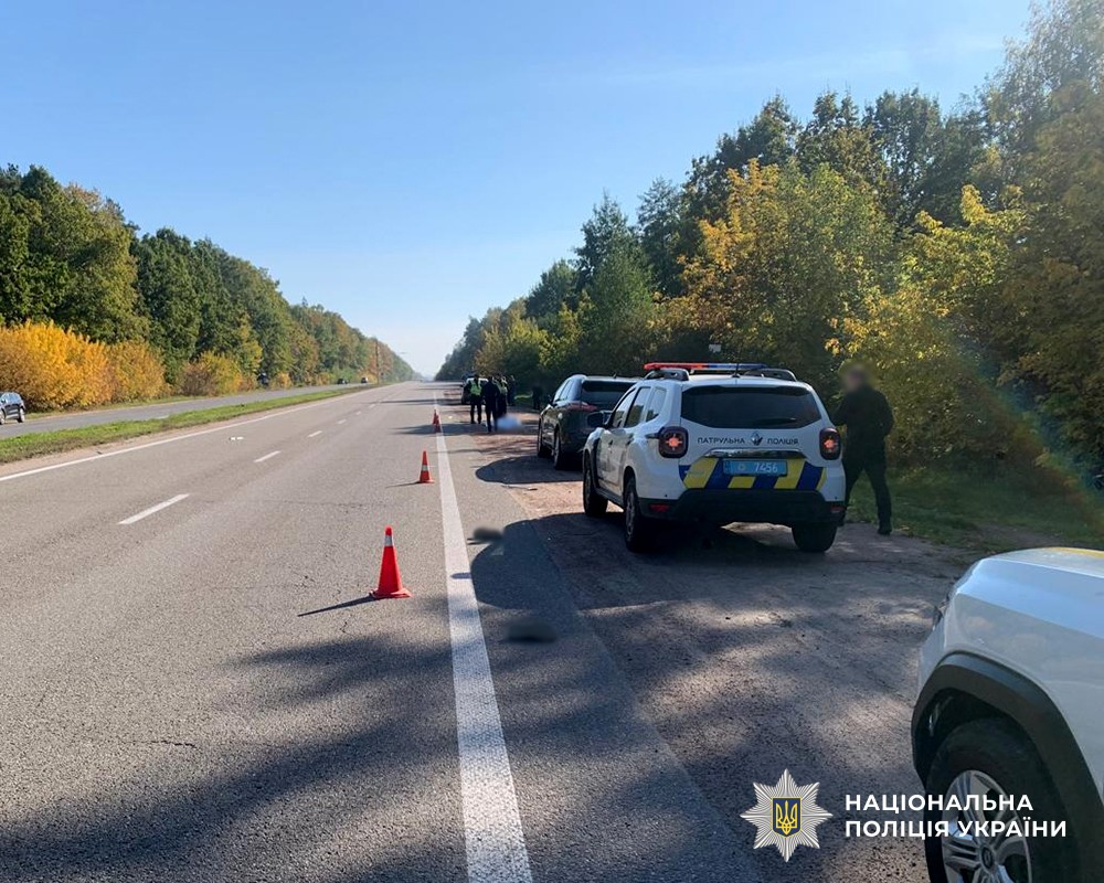 Наслідки автопригоди біля села Іванівка на Житомирщині